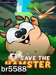 SavetheHamster: O Novo Jogo que Está Conquistando o Mundo